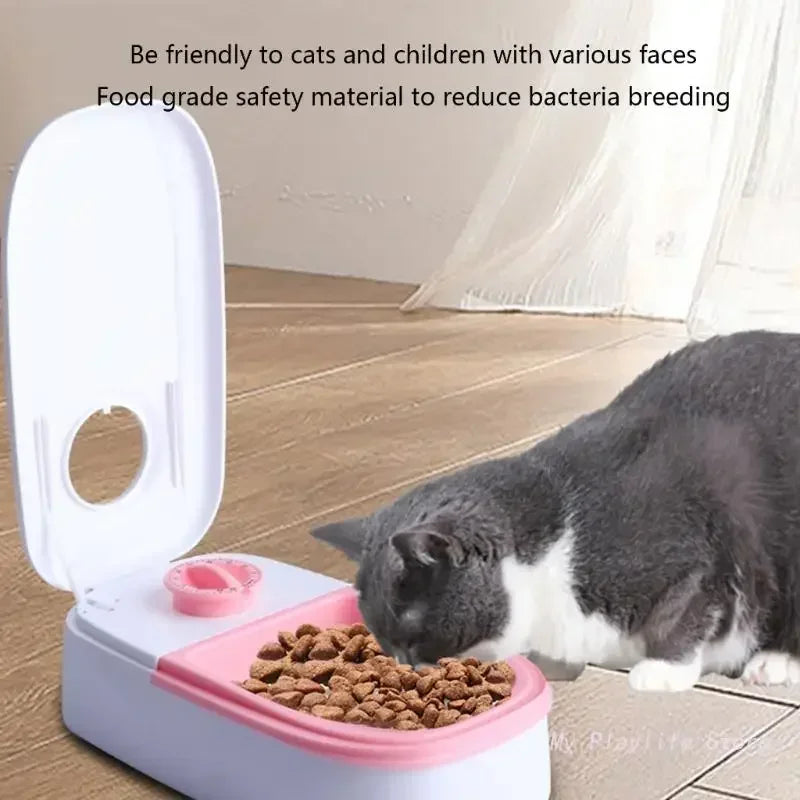 Pet Food & Drink Bowl