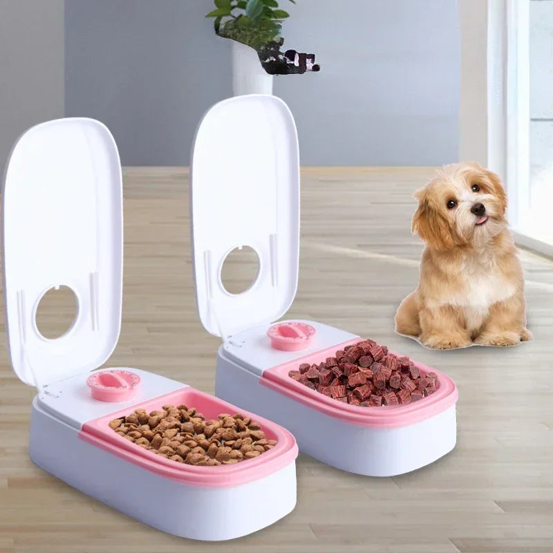 Non-Slip Pet Bowls with Timer Automatic Feeding Feeder for Dogs Cats