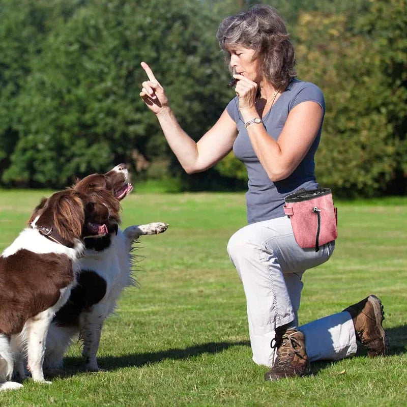 Portable Dog Training Pouch Poop Bags Snack Dispenser for Pets